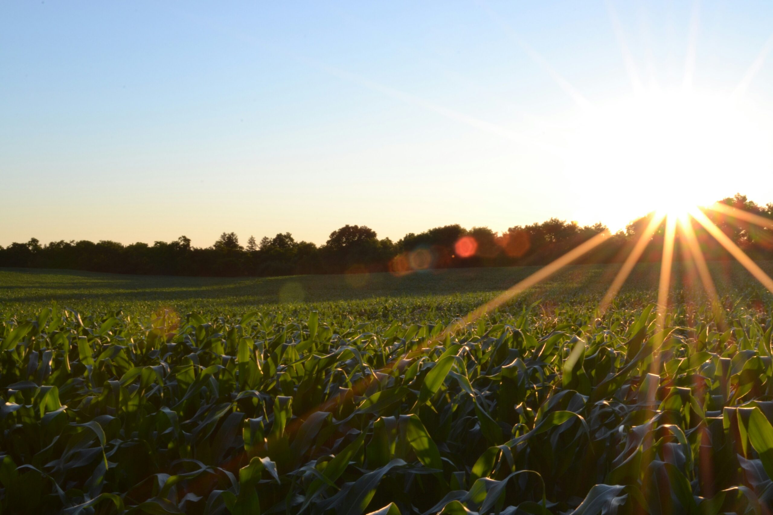 Publicity For Good Joins 2024 Homesteaders of America Conference as a Proud Sponsor