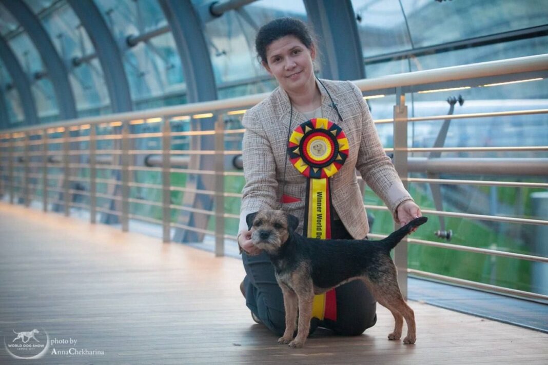 What Does a Dog-Breeding Specialist from the Arctic Circle Know About Trust That Most CEOs Don’t?