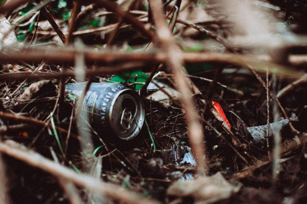 Environmentally Friendly Junk Hauling: A Strategic Move for Businesses